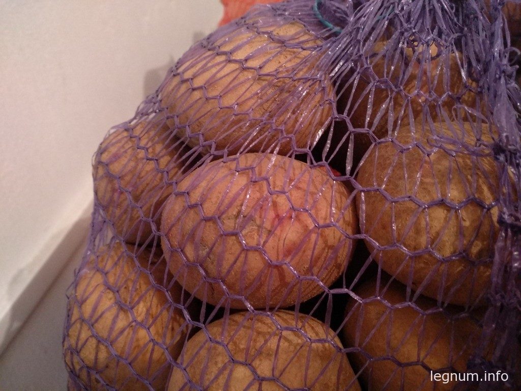 пьянычка