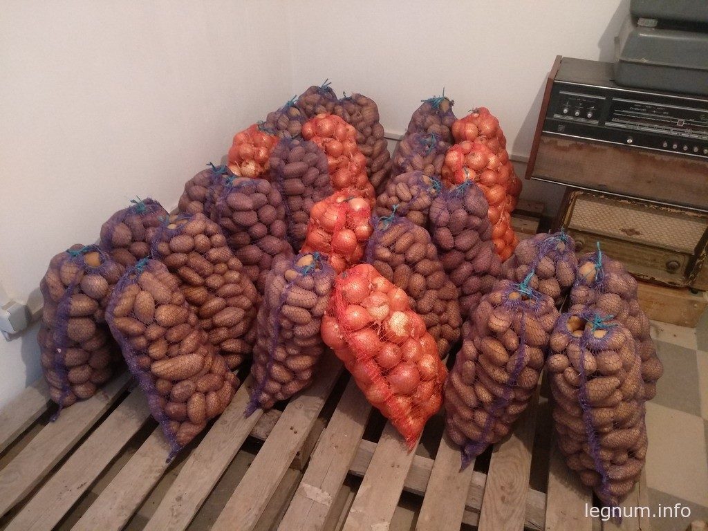 картошка в подвале